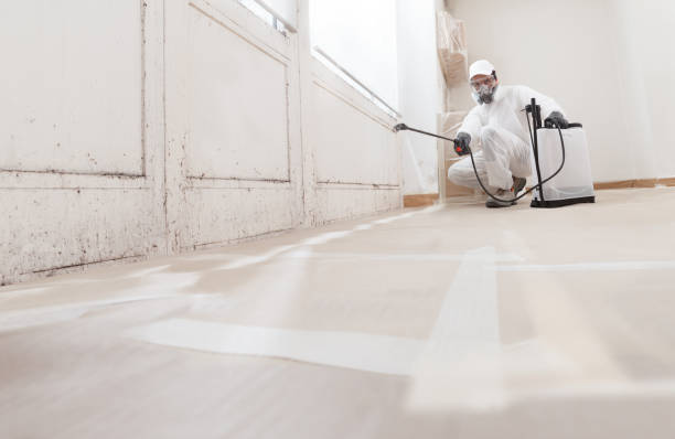 24/7 Emergency Black Mold Removal experts in Montclair, NJ