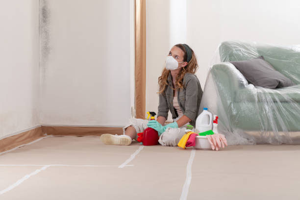 Trusted Black Mold Removal service in Montclair, NJ - WQB Mold Removal